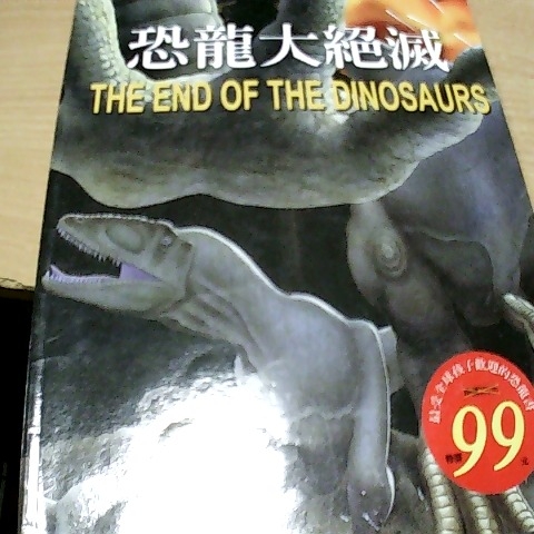 觀看圖片4
