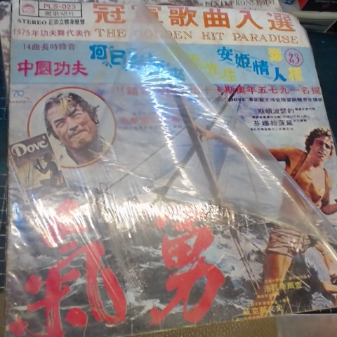 進入明細