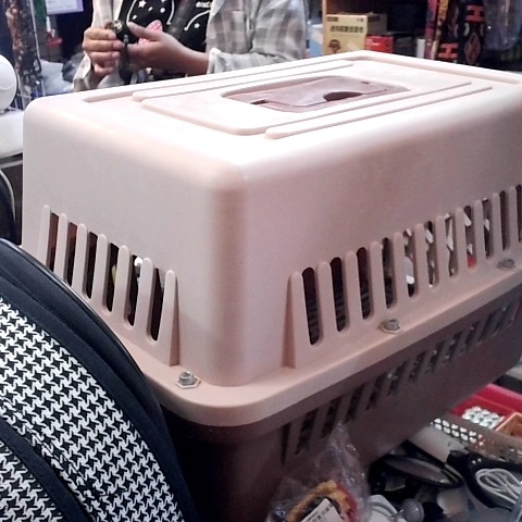 觀看圖片4