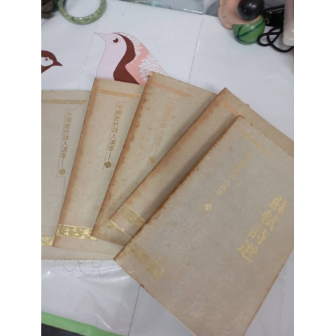 觀看圖片2