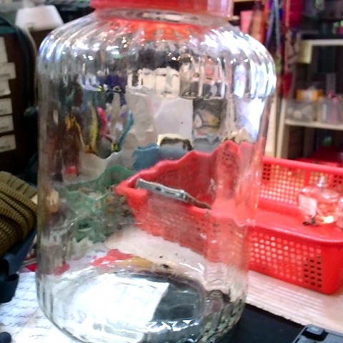 觀看圖片4