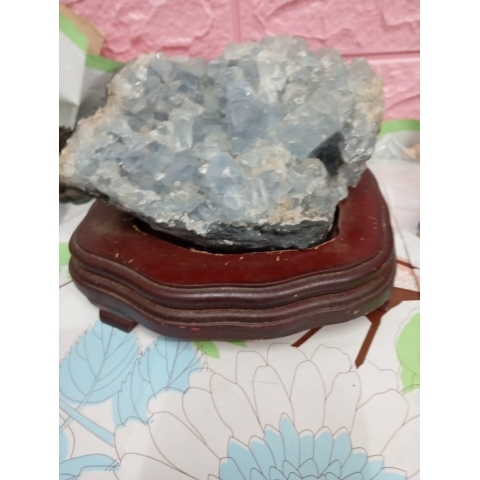 觀看圖片1
