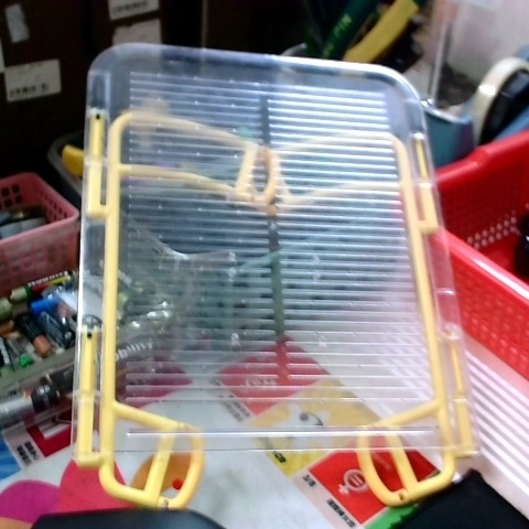 觀看圖片1