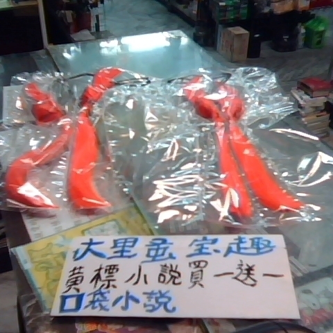 觀看圖片1