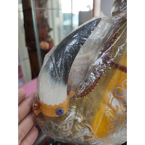 觀看圖片4