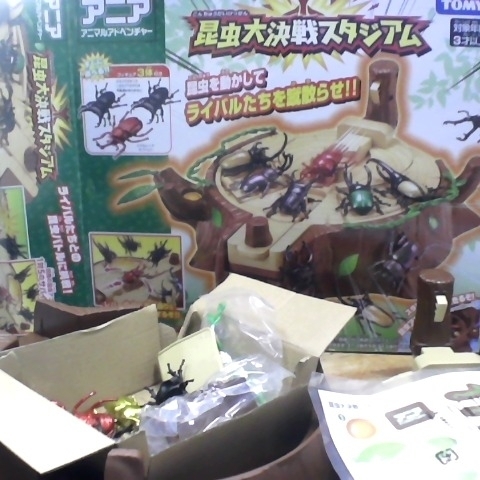 進入明細