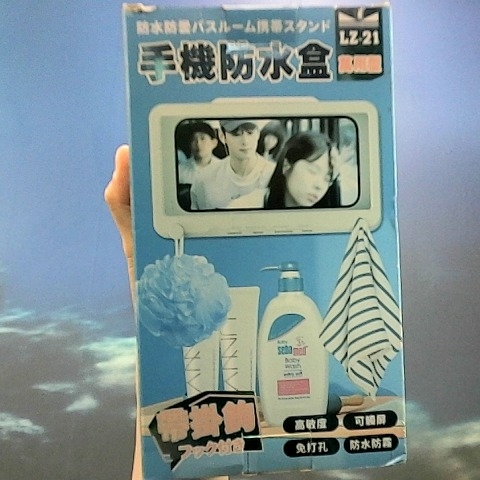 進入明細