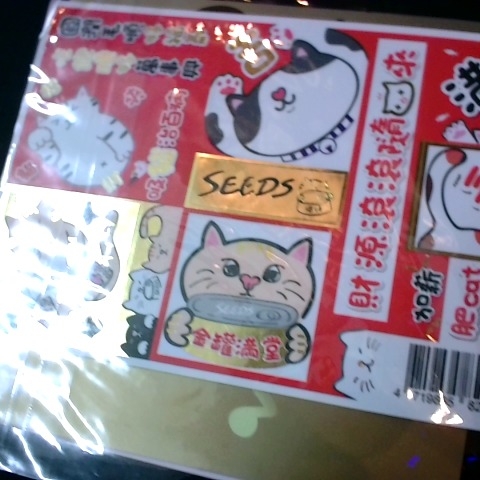 觀看圖片4