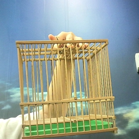 觀看圖片2