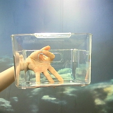 觀看圖片2