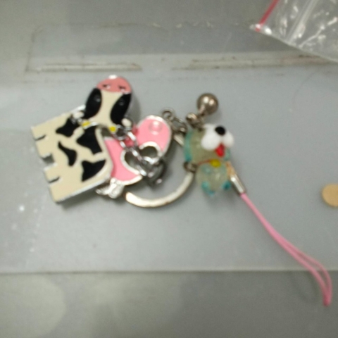 進入明細
