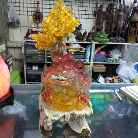 觀看圖片2