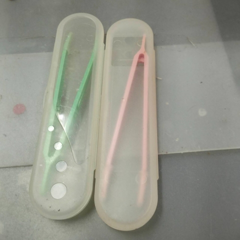 進入明細