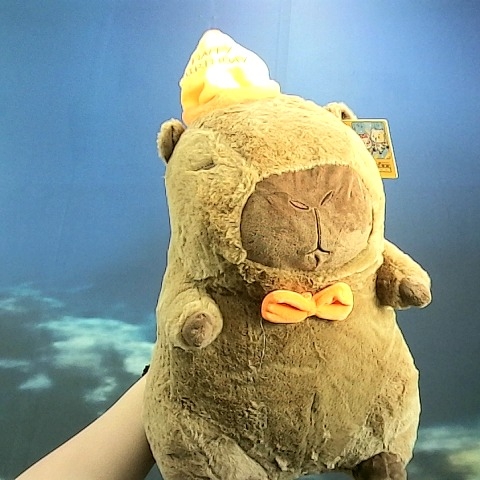 觀看圖片2