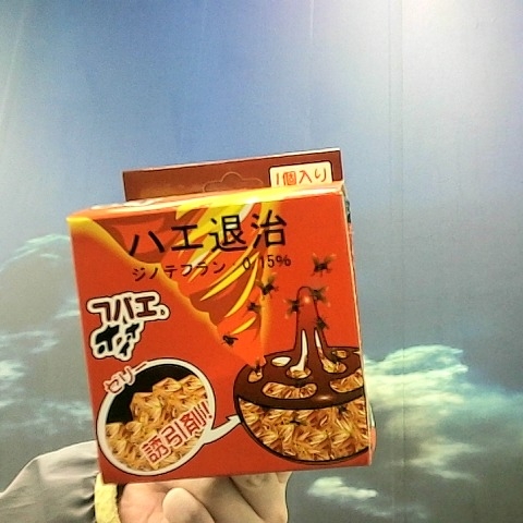 進入明細