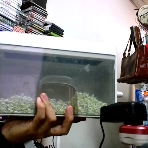 觀看圖片2