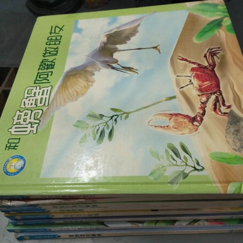 觀看圖片2