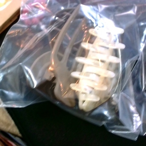 觀看圖片4