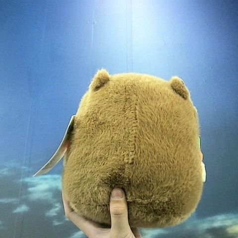 觀看圖片3
