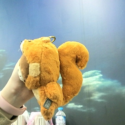 觀看圖片2