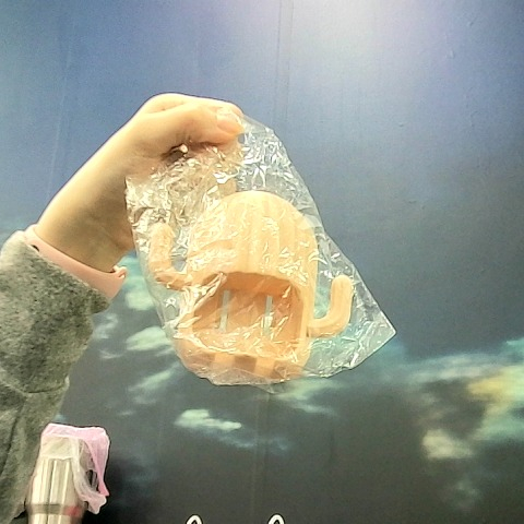 進入明細