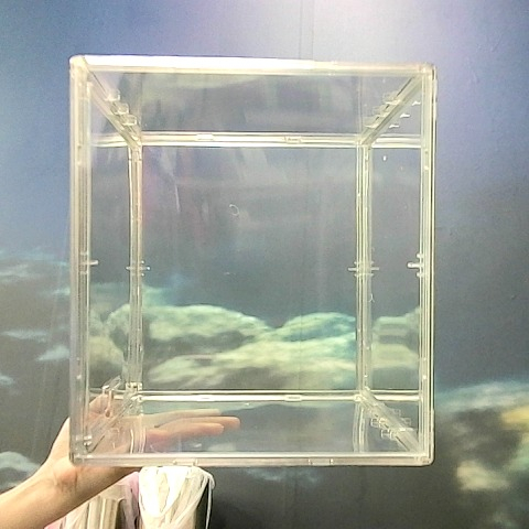 觀看圖片2