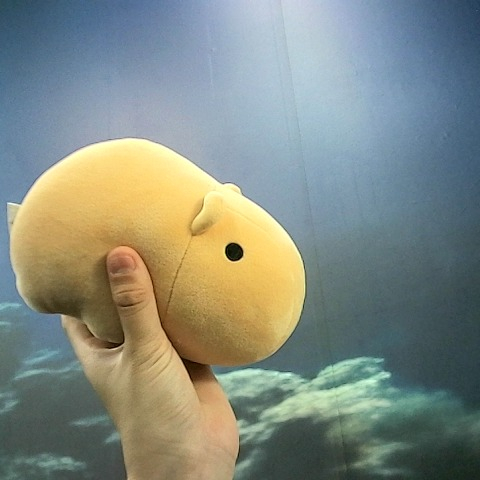 觀看圖片3