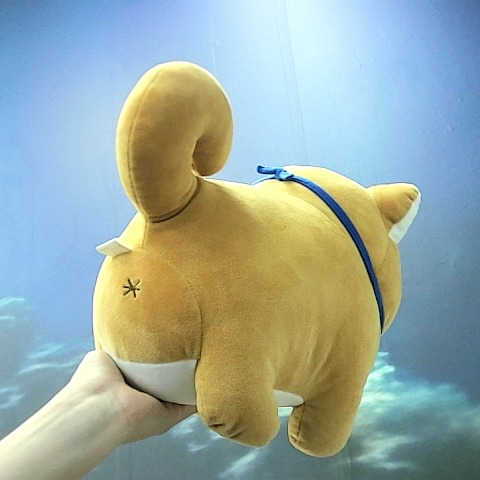 觀看圖片3
