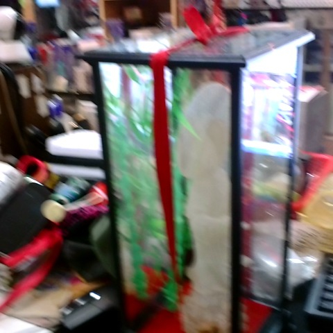 觀看圖片4