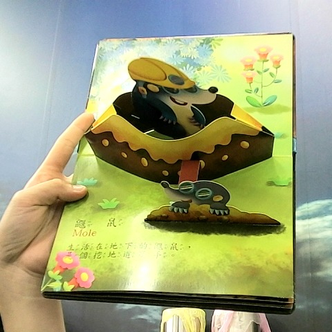 觀看圖片2