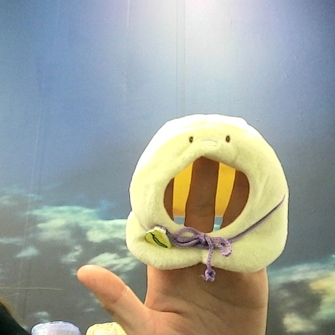 觀看圖片3