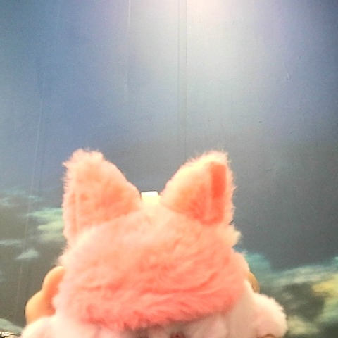 觀看圖片3