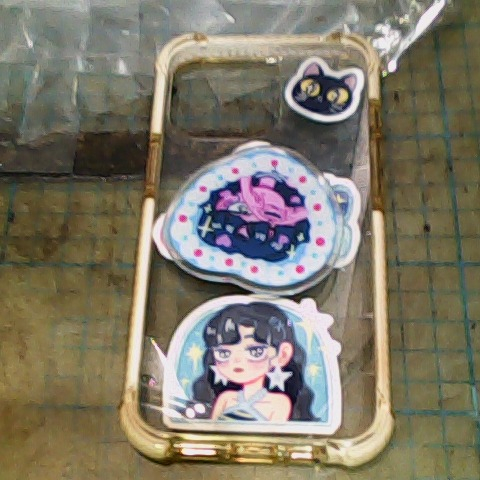 進入明細