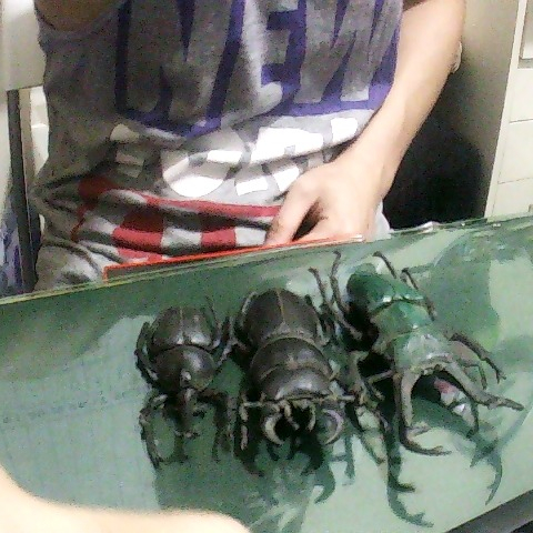 進入明細
