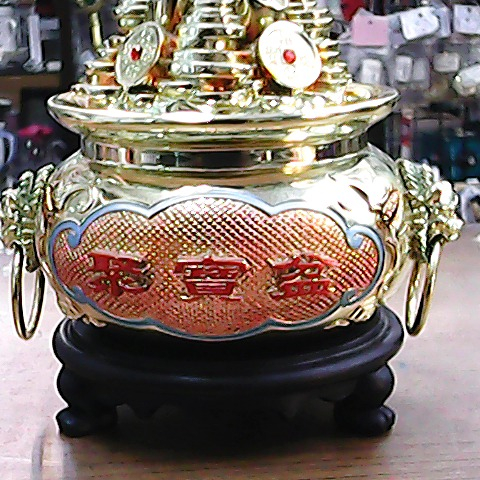 觀看圖片4