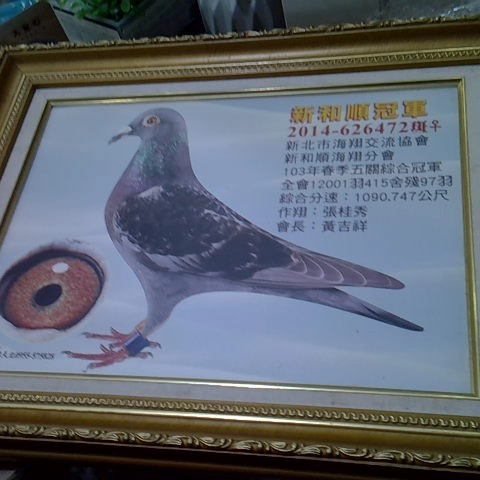 觀看圖片1