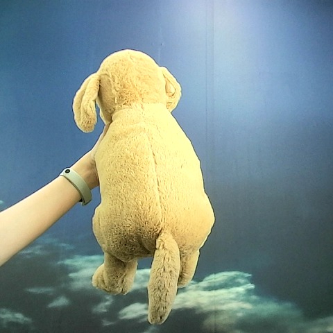 觀看圖片3