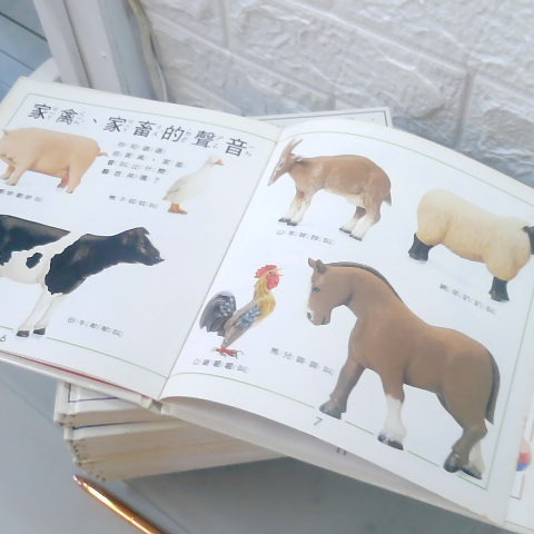 觀看圖片4