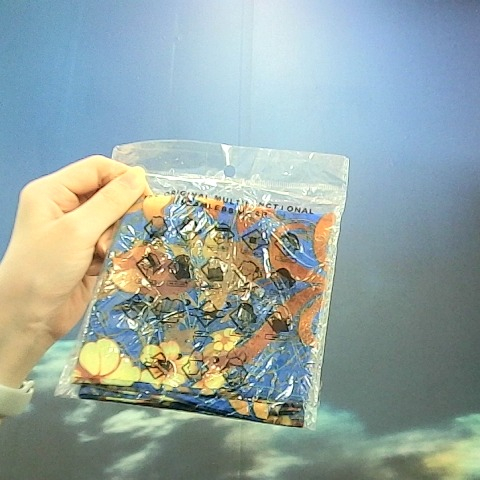 進入明細