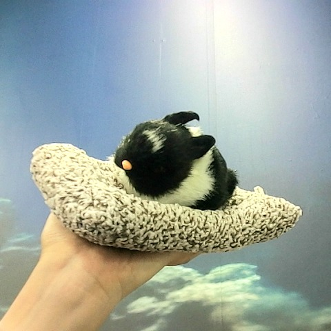 觀看圖片1