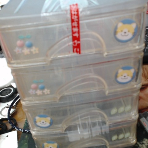 進入明細