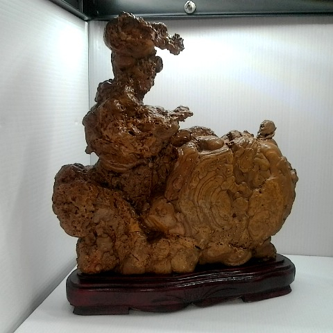 觀看圖片2