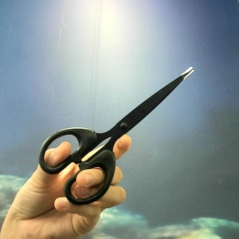 觀看圖片1