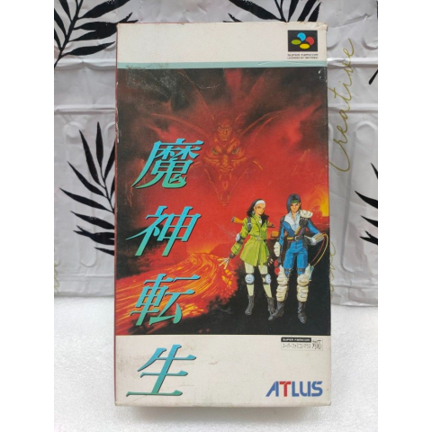 觀看圖片1