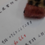 觀看圖片4